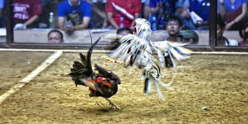 k14 đăng nhập lô đề uy tín