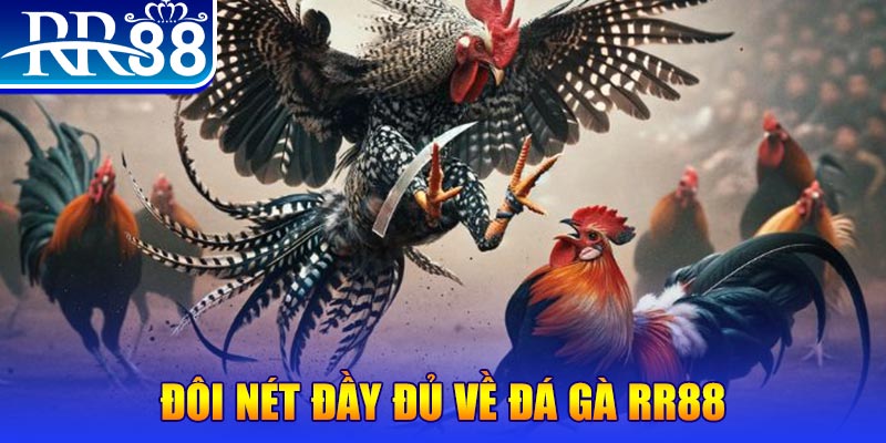 k14 gà chọi hoà phong
