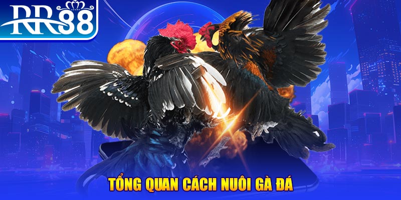 k14 xổ số thứ ba