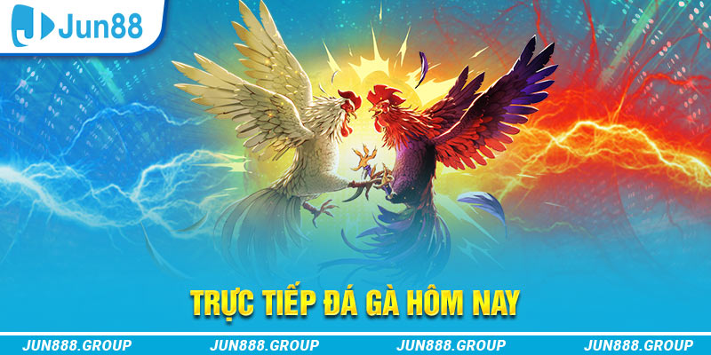 k14 trực tiếp đá gà thomo
