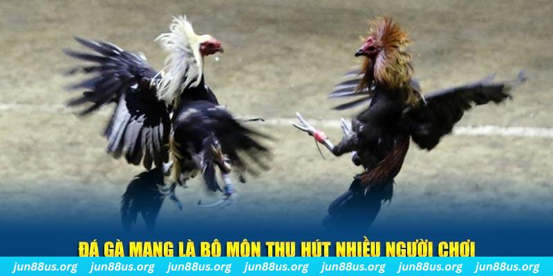 k14 xổ số long an