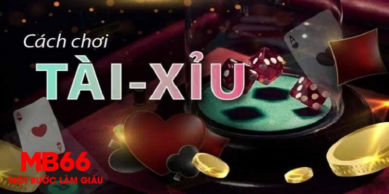 k14 1 slot là gì