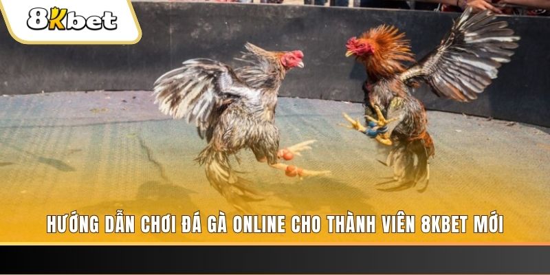 k14 nổ hũ đổi thưởng . ai