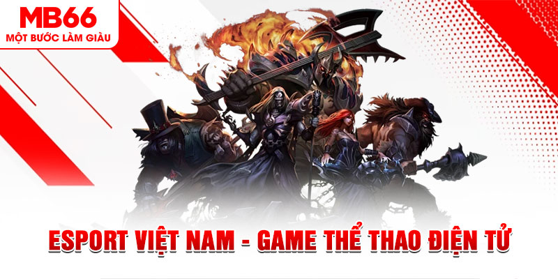 k14 PT Điện Tử
