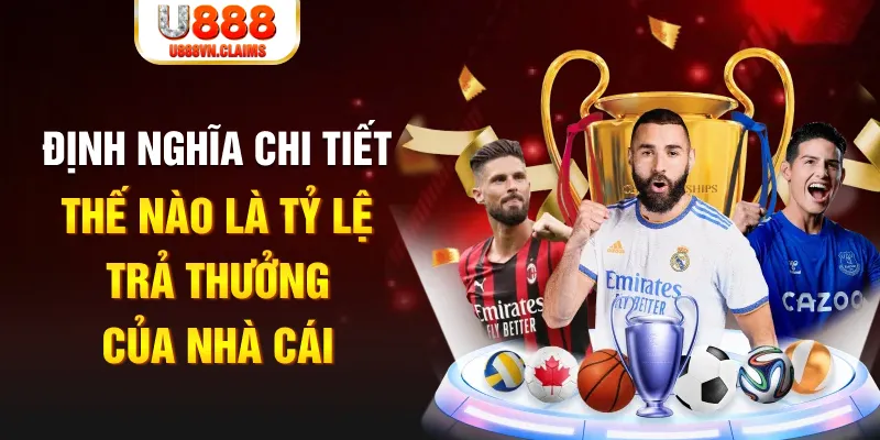 k14 đá gà thomo