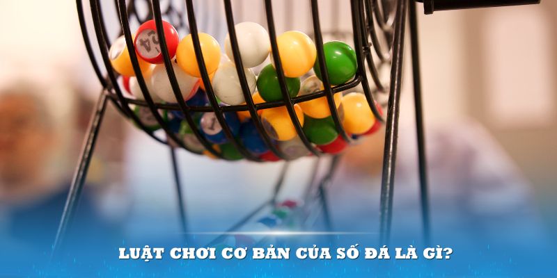 k14 Đĩa màu ace