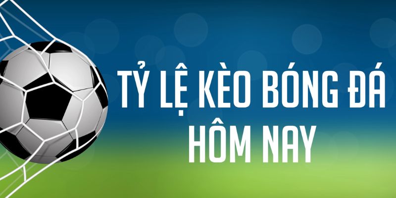 k14 ÁT CHỦ MÁY HOA QUẢ THẦN TÀI