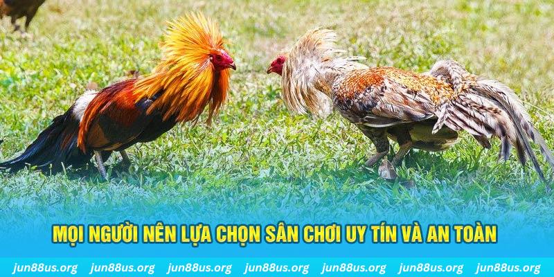 k14 Tài Xỉu
