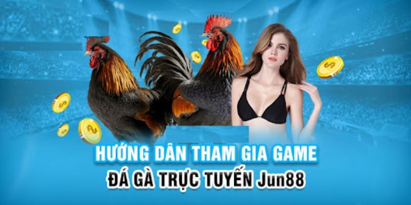 k14 slot có nghĩa là gì