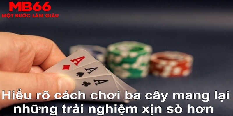 k14 DB Trực Tuyến