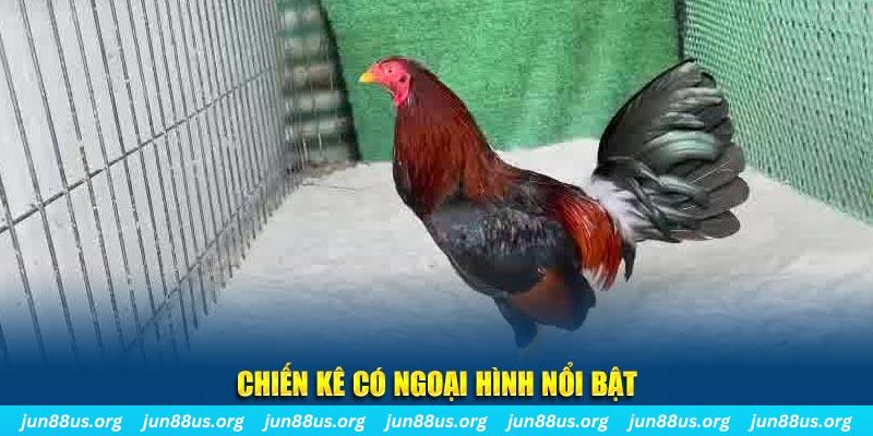 k14 nhạc slot là gì
